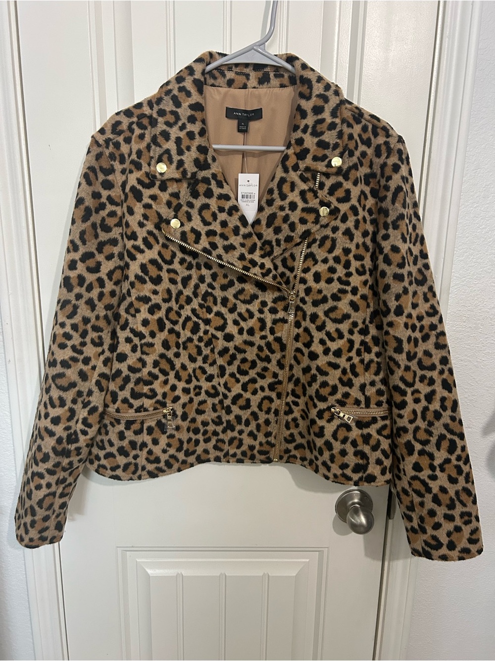 Ann taylor xl